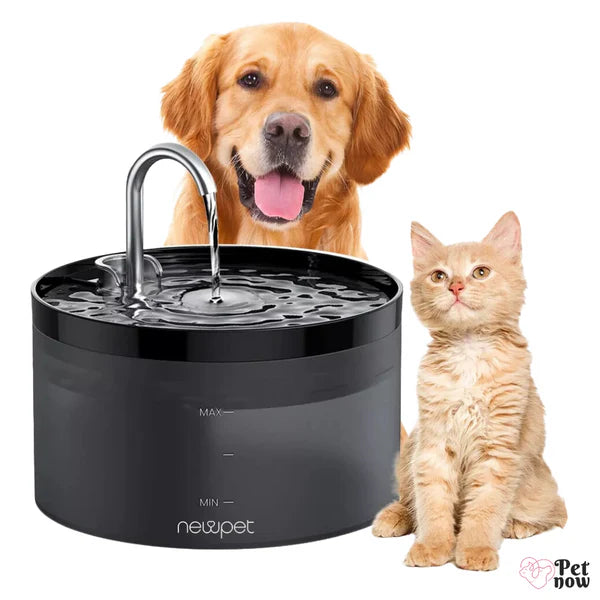 Bebedouro Pet Fonte Agua Filtro Gatos e Cachorro 2L