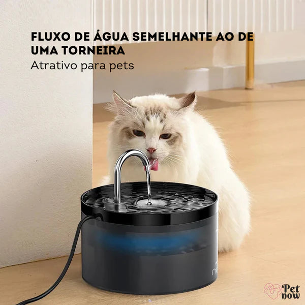 Bebedouro Pet Fonte Agua Filtro Gatos e Cachorro 2L